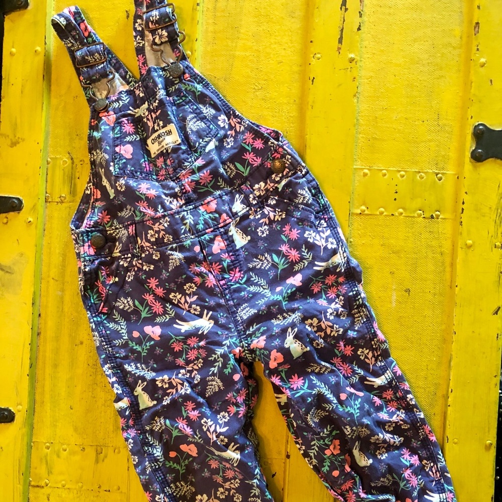 Oshkosh Overalls - Toddler 18 months
